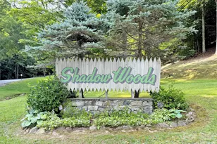 49 Brandywine Rd, Waynesville, NC 28786 - Photo 2