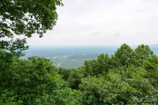 386 Arrowhead Trail, Columbus, NC 28722 - Photo 38