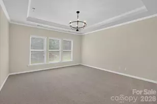322 Burr court, Fort Mill, SC 29715 - Photo 24