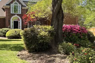 10300 Lady Grace Ln, Charlotte, NC 28270 - Photo 2