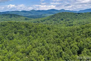 23 Cedarwood Trail, Asheville, NC 28803 - Photo 32