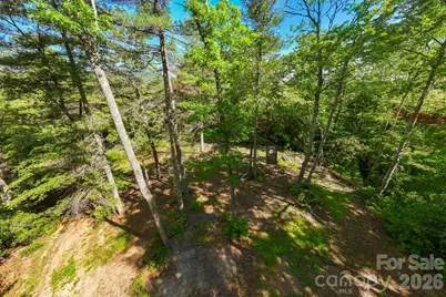 Tbd Big Valley Road, Pisgah Forest, NC 28768 - Photo 12