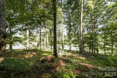 Tbd Big Valley Road, Pisgah Forest, NC 28768 - Photo 8