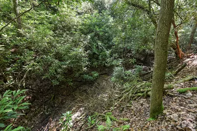 Tbd Big Valley Road, Pisgah Forest, NC 28768 - Photo 10