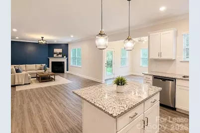 19108 Yellow Birch Drive, Charlotte, NC 19108 - Photo 4