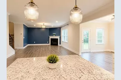 19108 Yellow Birch Drive, Charlotte, NC 19108 - Photo 6