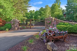 745 Mossy Oak Trail, Nebo, NC 28761 - Photo 48