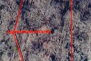 76 Acres Camp Cox Circle, Indian Land, SC 29707 - Photo 1