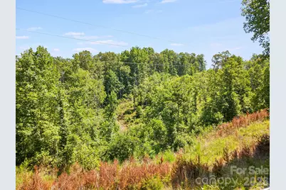Lot #2 Clark Road, Rutherfordton, NC 28139 - Photo 14