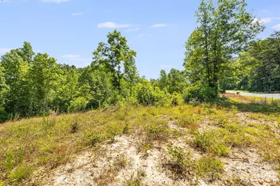 Lot #2 Clark Road, Rutherfordton, NC 28139 - Photo 10