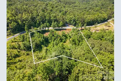 Lot #2 Clark Road, Rutherfordton, NC 28139 - Photo 8