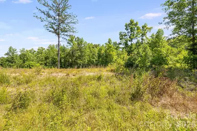 Lot #2 Clark Road, Rutherfordton, NC 28139 - Photo 12