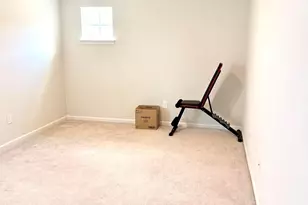 341 Runner Stone Ln, Fort Mill, SC 29715 - Photo 24