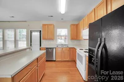 3917 Caliper Place, Fort Mill, SC 29708 - Photo 4