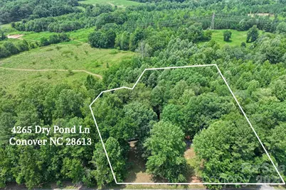 4265 Dry Pond Lane, Conover, NC 28613 - Photo 32