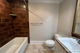 18733 Vineyard Point Ln, Cornelius, NC 28031 - Photo 10