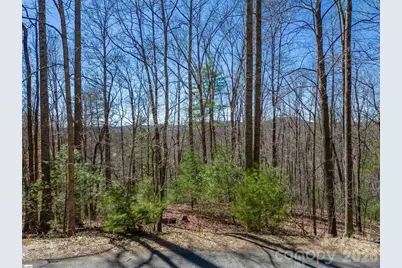 132 Overlook Park Drive #51, Hendersonville, NC 28792 - Photo 2