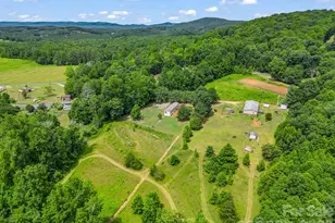110 1 Judy Rd, Casar, NC 28020 - Photo 10