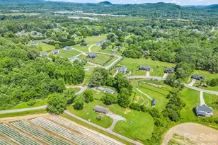 210 Banner Farm Rd, Mills River, NC 28759 - Photo 46