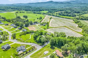 210 Banner Farm Rd, Mills River, NC 28759 - Photo 48
