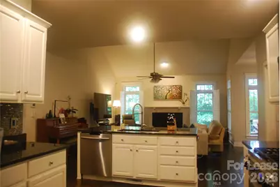 14 Dianthus Drive, Asheville, NC 28803 - Photo 4