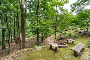 33 Coffey Cir, Asheville, NC 28806 - Photo 38