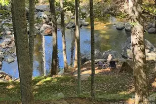 39 Rogers Creek Dr, Bakersville, NC 28705 - Photo 36