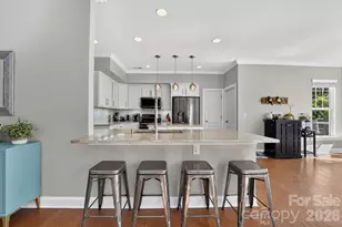 13223 Freedom Valley Drive, Huntersville, NC 28078 - Photo 18