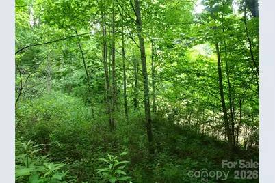 00 Sage Lane #4, Waynesville, NC 28785 - Photo 6