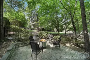 16619 Flintrock Falls Ln, Charlotte, NC 28278 - Photo 40
