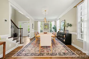 16619 Flintrock Falls Ln, Charlotte, NC 28278 - Photo 4