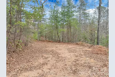 Tbd Deep Woods Lane #102, Saluda, NC 28773 - Photo 2