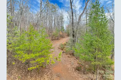 Tbd Deep Woods Lane #102, Saluda, NC 28773 - Photo 6