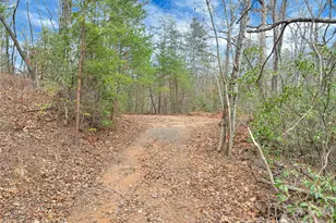 Tbd Deep Woods Ln, Saluda, NC 28773 - Photo 1