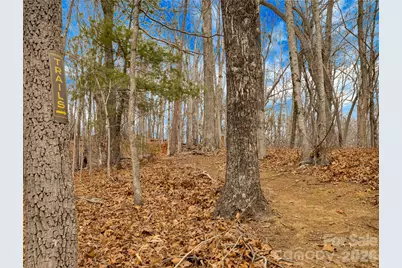 Tbd Deep Woods Lane #102, Saluda, NC 28773 - Photo 10