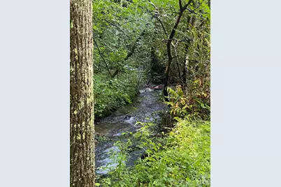 3458 Dicks Creek Road, Whittier, NC 28789 - Photo 16