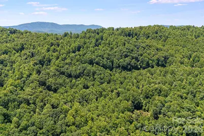 Tbd Solomon Circle #16 & 17, Hendersonville, NC 28739 - Photo 38