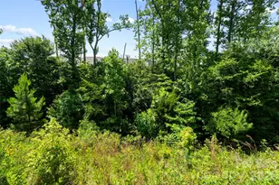 6008 Britannia Blvd, Waxhaw, NC 28173 - Photo 42