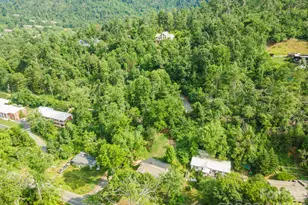 80 Webb Cove Rd, Asheville, NC 28804 - Photo 34