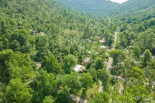 80 Webb Cove Rd, Asheville, NC 28804 - Photo 36
