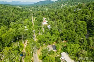 80 Webb Cove Rd, Asheville, NC 28804 - Photo 46