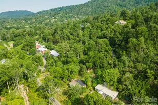 80 Webb Cove Rd, Asheville, NC 28804 - Photo 48