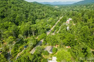 80 Webb Cove Rd, Asheville, NC 28804 - Photo 44