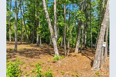 85 Powder Creek Trail, Arden, NC 28704 - Photo 8