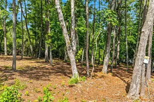 85 Powder Creek Trail, Arden, NC 28704 - Photo 8