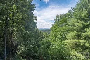 23 Moriah Ln, Asheville, NC 28803 - Photo 24