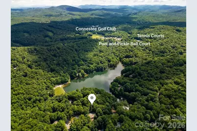 3125 Connestee Trail, Brevard, NC 28712 - Photo 40