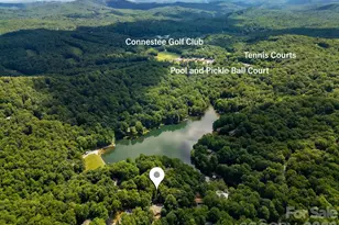 3125 Connestee Trail, Brevard, NC 28712 - Photo 40