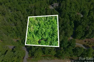9999 Old Fort Rd, Black Mountain, NC 28711 - Photo 1