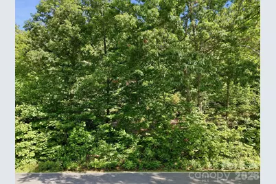 9999 Old Fort Road, Black Mountain, NC 28711 - Photo 16